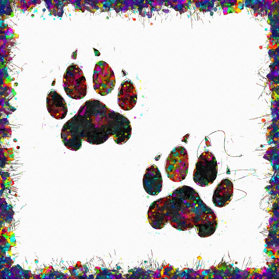 Panther Paw Prints Digital Art Download