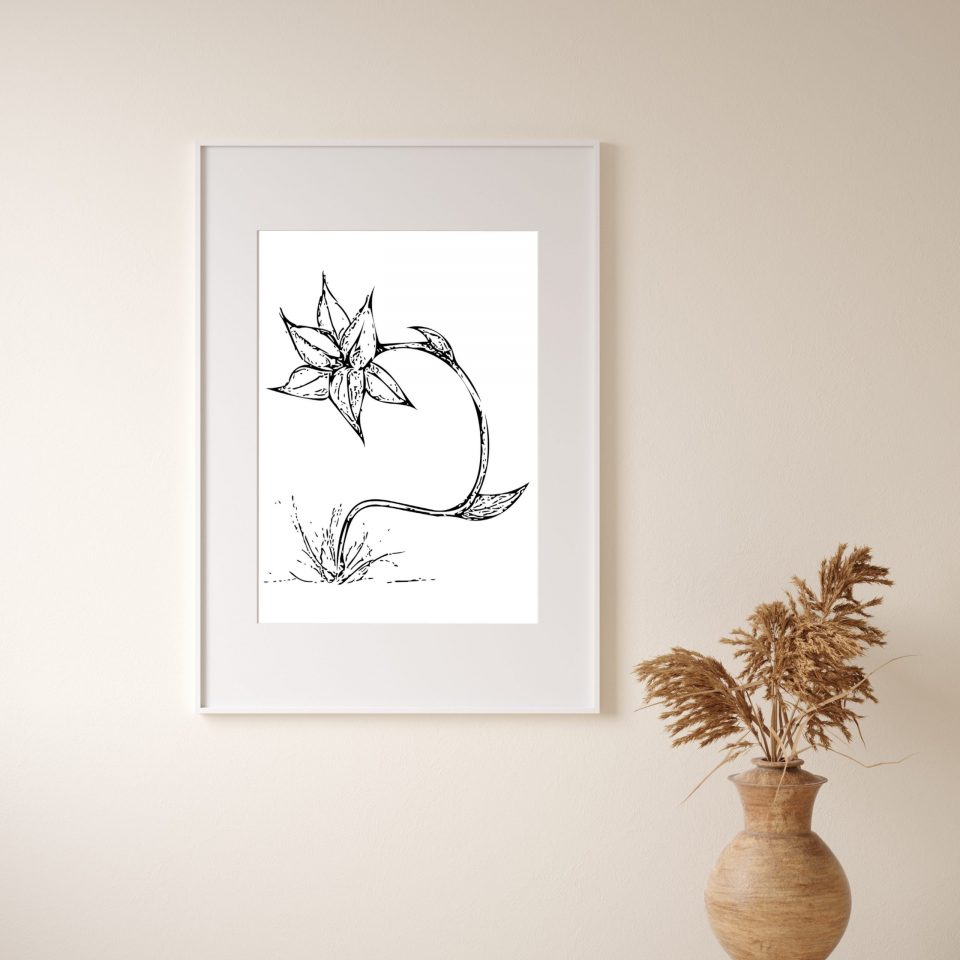 Original Lily Flower Sketch Digital Art